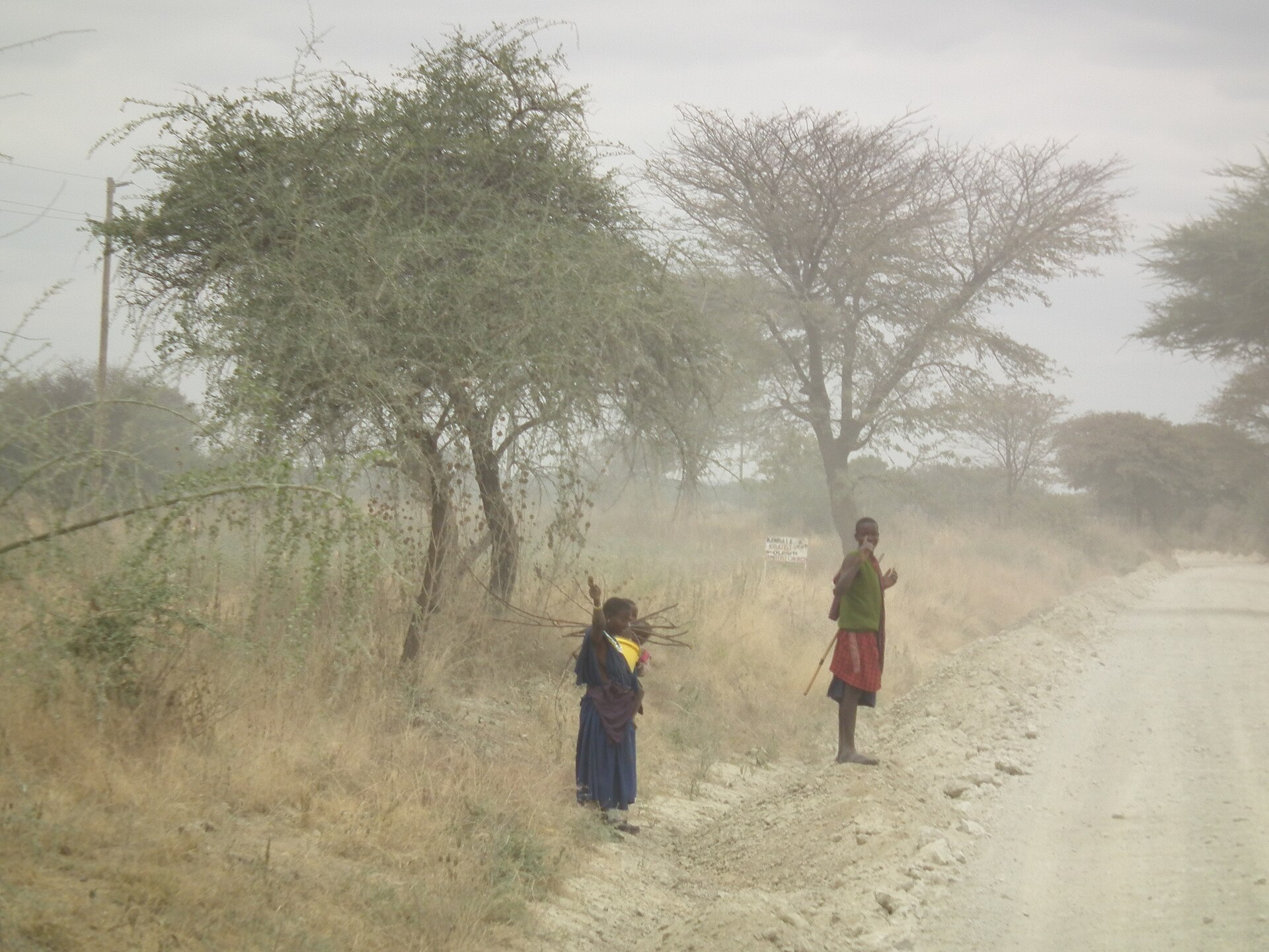 5-Day Best of Tanzania Wildlife Safari