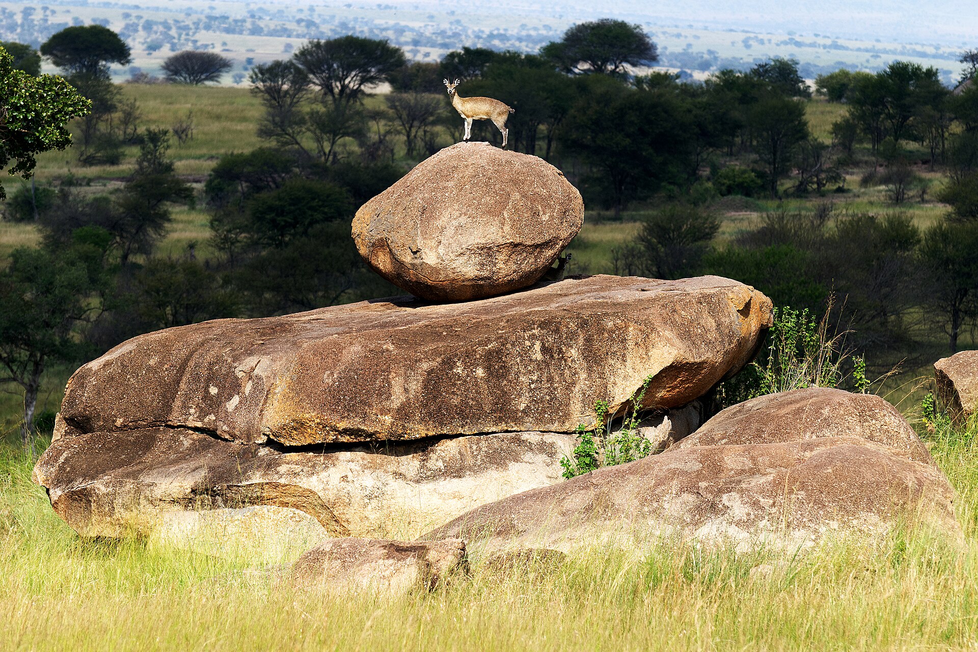 Serengeti National Park