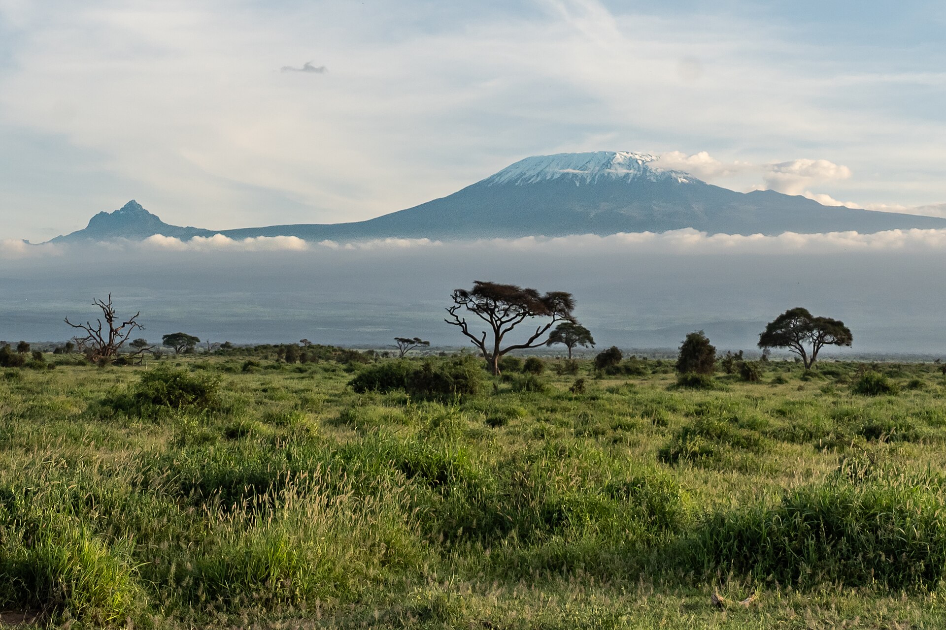 7-Day Lemosho Route Trek
