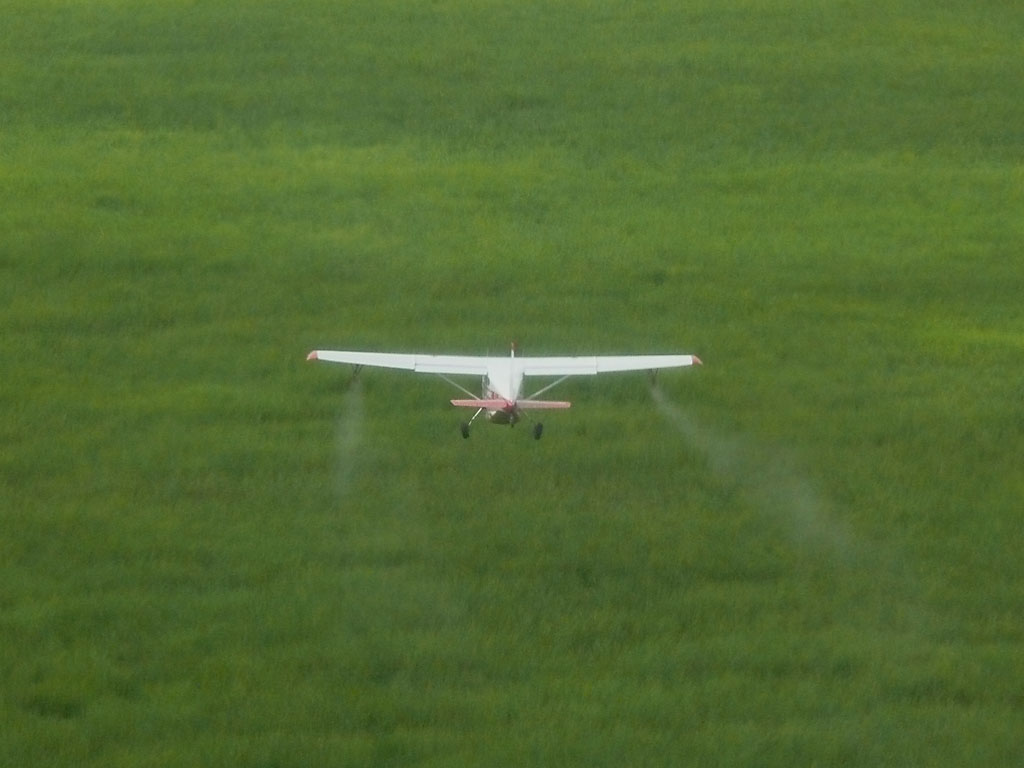 Katavi National Park