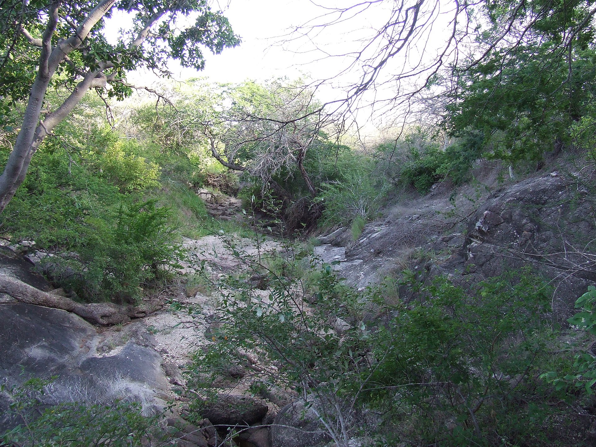 Mkomazi National Park