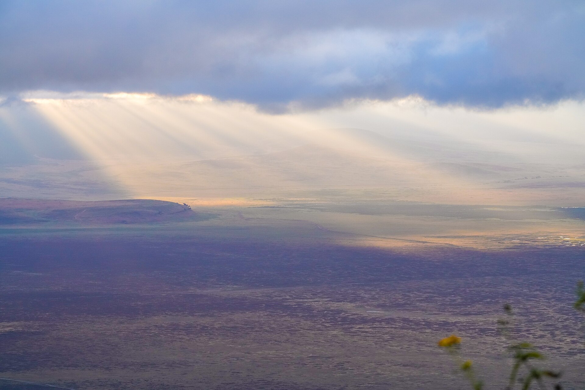 Ngorongoro Crater Day Tour from Arusha