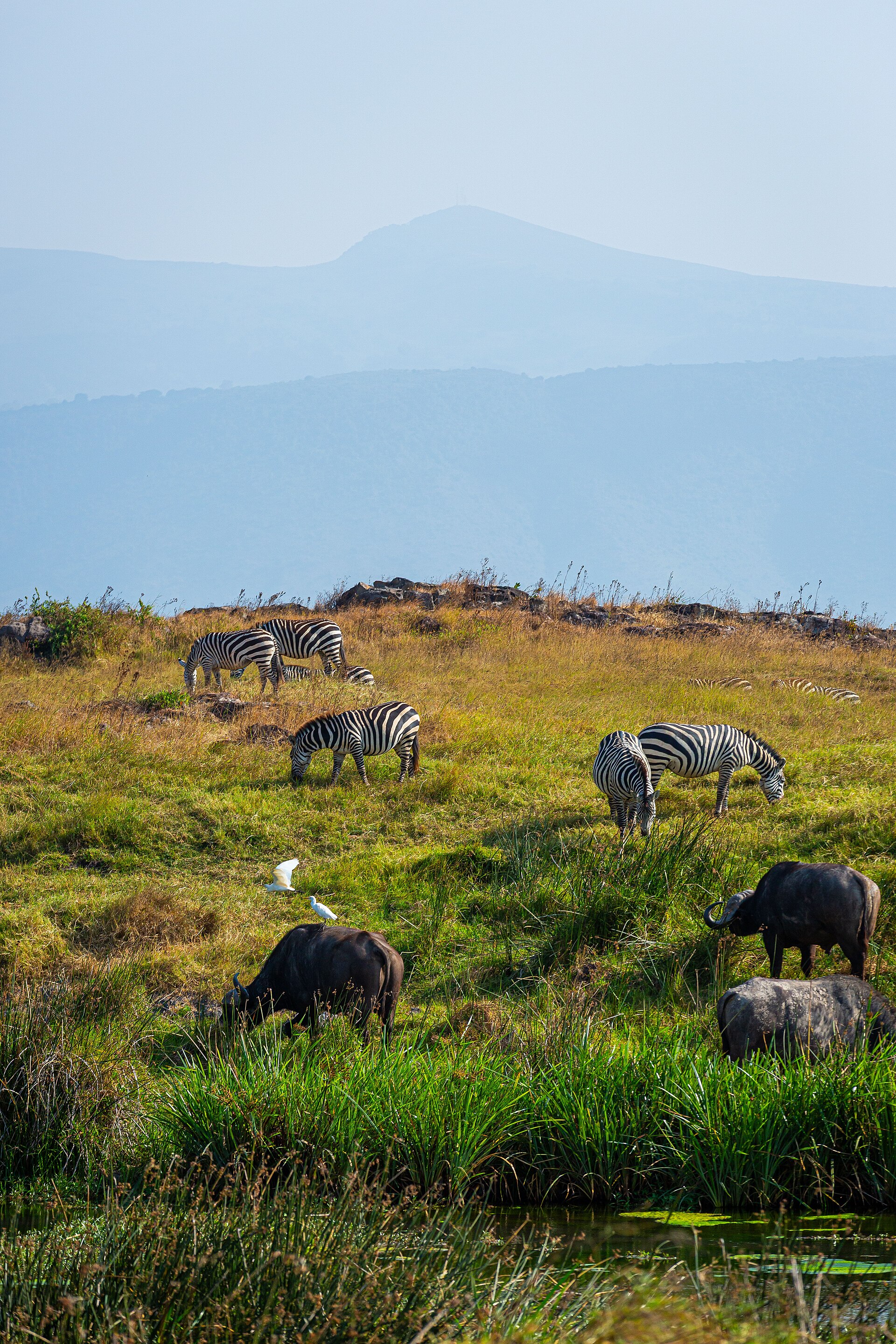 Best First-Time Tanzania Safari Itinerary (Northern Circuit)