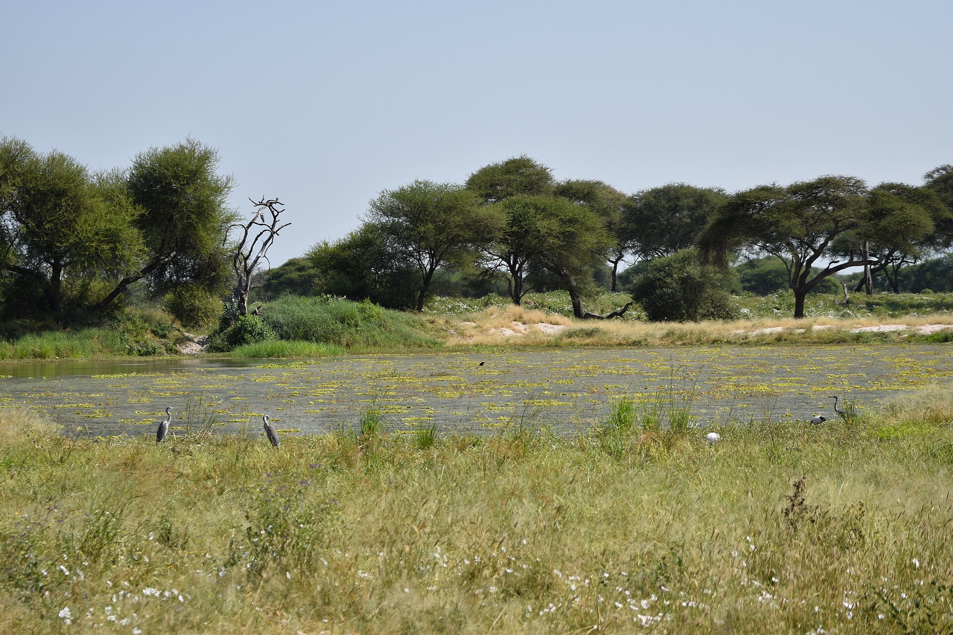 Ol Doinyo Lengai & Lake Natron Day Excursion